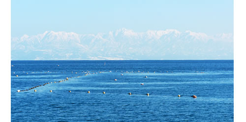 富山湾の氷見の定置網 富山湾観光船・氷見漁業組合