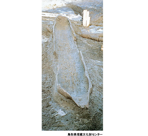 鳥取県の桂見遺跡（かつらみいせき）から発見された丸木舟