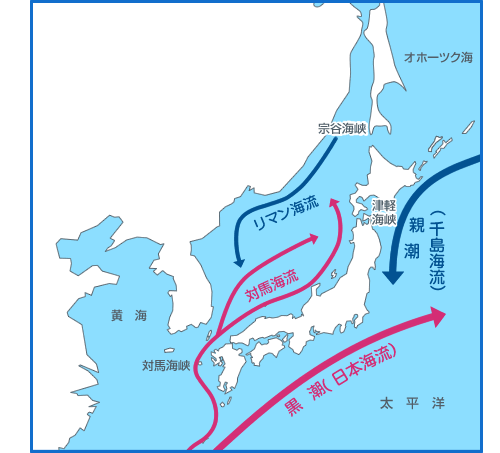 日本近海の海流