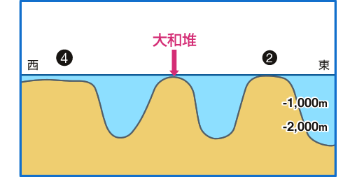 日本海の断面と大和堆（やまとたい）