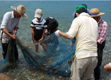 地引き網＆とれたて夏魚で料理体験