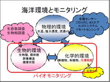 海の健康診断－生物による沿岸環境モニタリング－