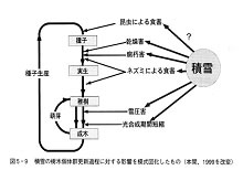 日本海がもたらす雪と植物の多様性