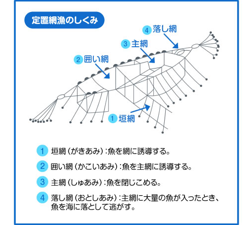 定置網漁のしくみ