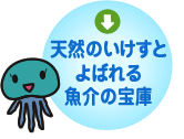 天然のいけすと よばれる 魚介の宝庫