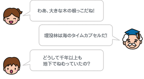 わあ、大きな木の根っこだね！埋没林は海のタイムカプセルだ！どうして千年以上も地下でねむっていたの？