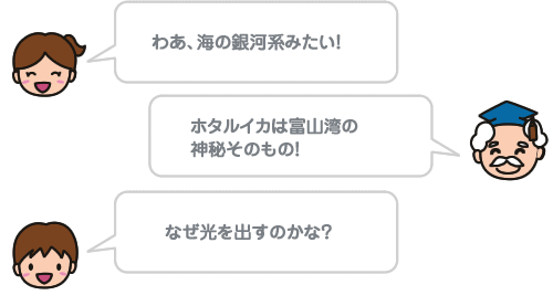 わあ、海の銀河系みたい！ホタルイカは富山湾の神秘そのもの！ なぜ光を出すのかな？