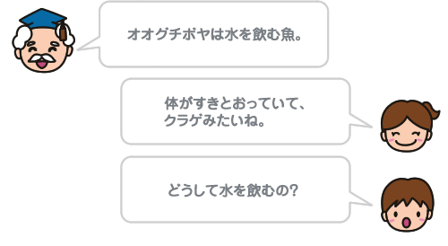 オオグチボヤは水を飲む魚。 体がすきとおっていて、クラゲみたいね。どうして水を飲むの?