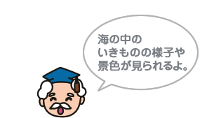 海の中のいきものの様子や景色が見られるよ。