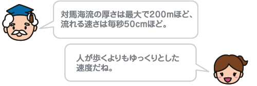 対馬海流の厚さは最大で200mほど、流れる速さは毎秒50cmほど。 人が歩くよりもゆっくりとした速度だね。