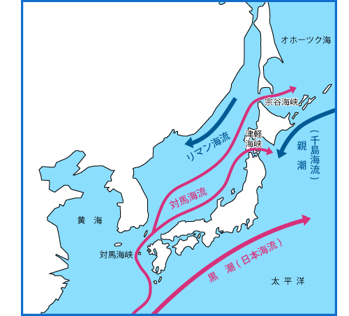 日本近海の海流