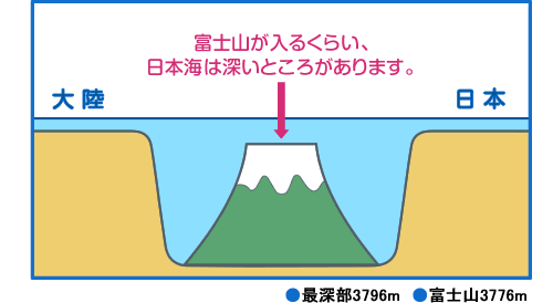 日本海の大きさ 図