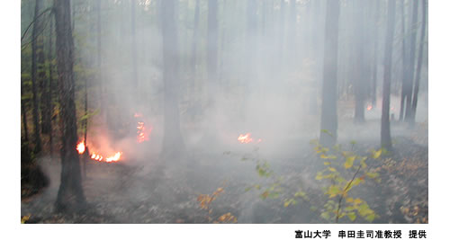 燃えつづけるシベリアタイガ