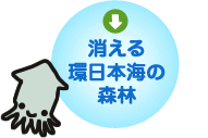 消える環日本海の森林