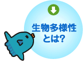 生物多様性とは？