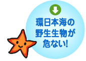 環日本海の 野生生物が 危ない！